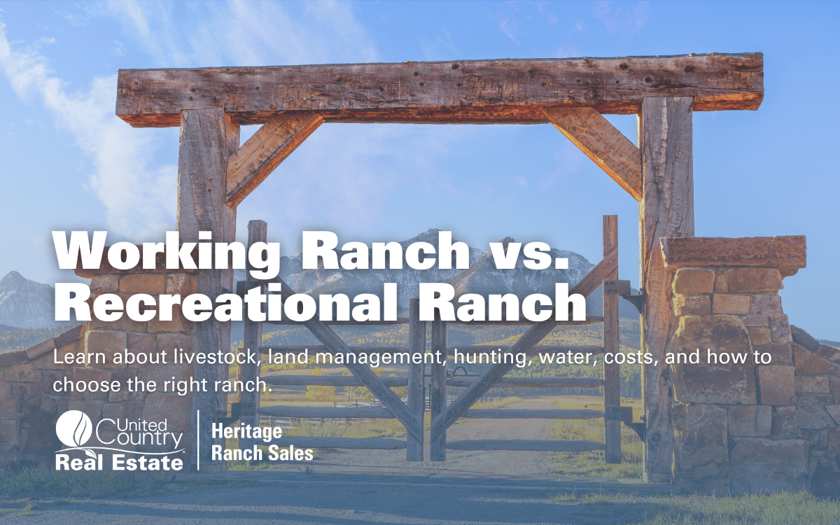 Working Ranch vs. Recreational Ranch in Texas: Which Is Right for You?